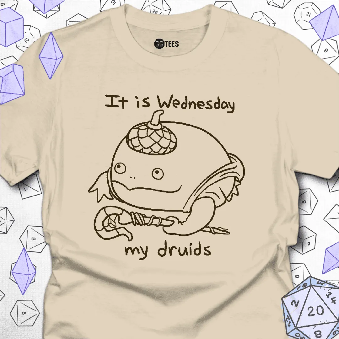 It is Wednesday T-Shirt - GG Tees