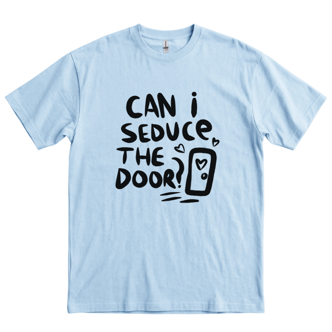 Can I Seduce The Door - Light Blue