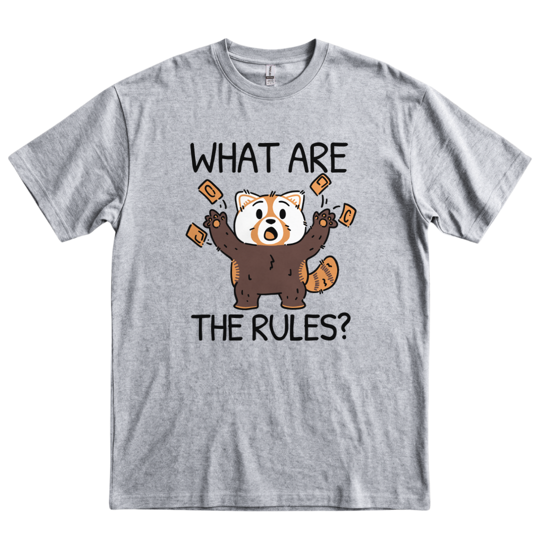 What Are the Rules? - Sport Grey