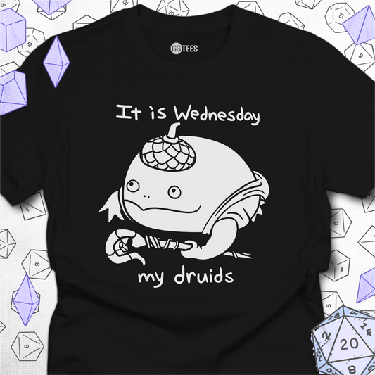 It is Wednesday T-Shirt