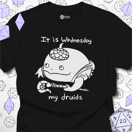 It is Wednesday T-Shirt - GG Tees