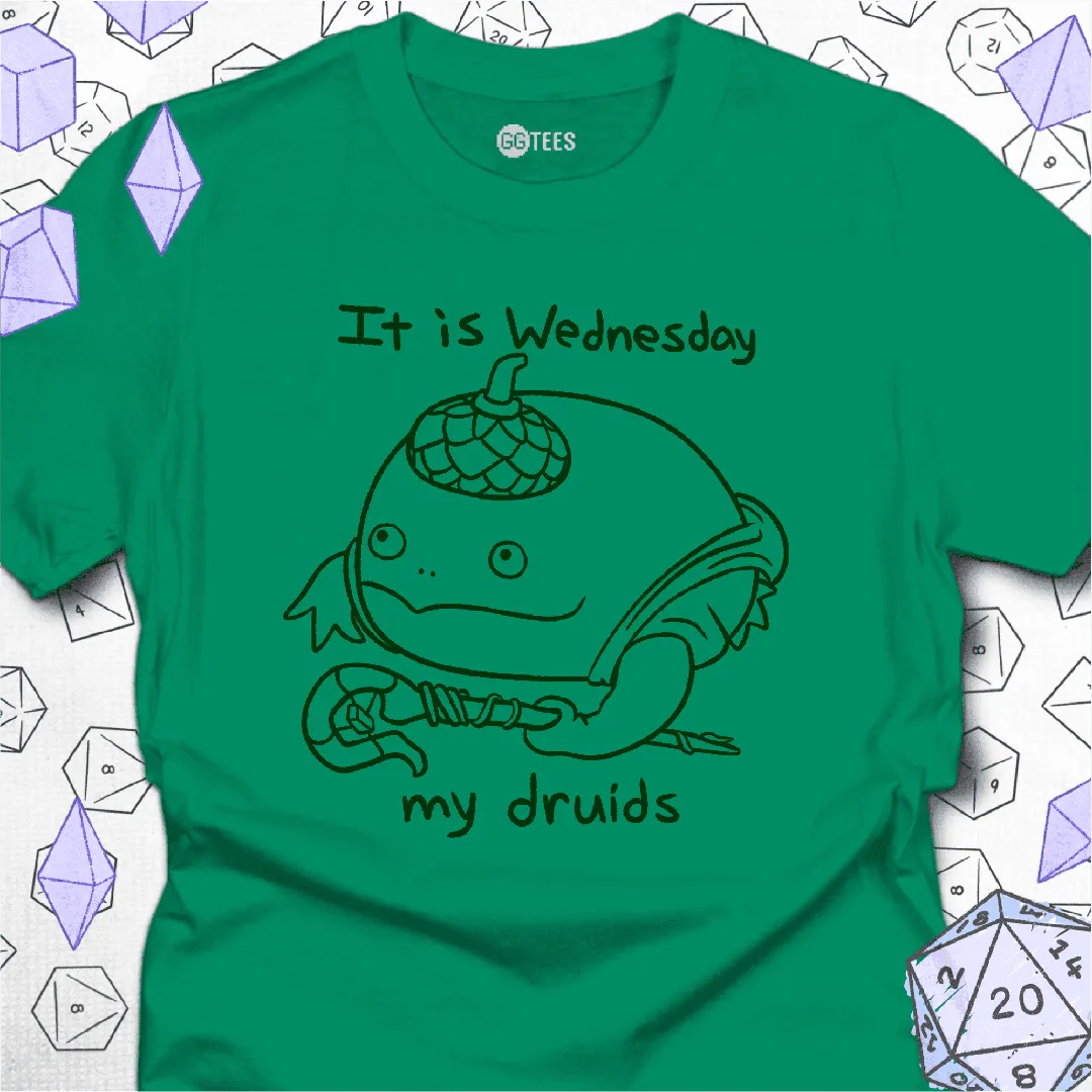 It is Wednesday T-Shirt - GG Tees
