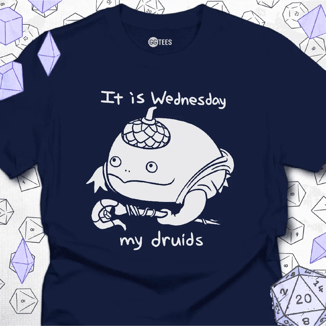 It is Wednesday T-Shirt - GG Tees
