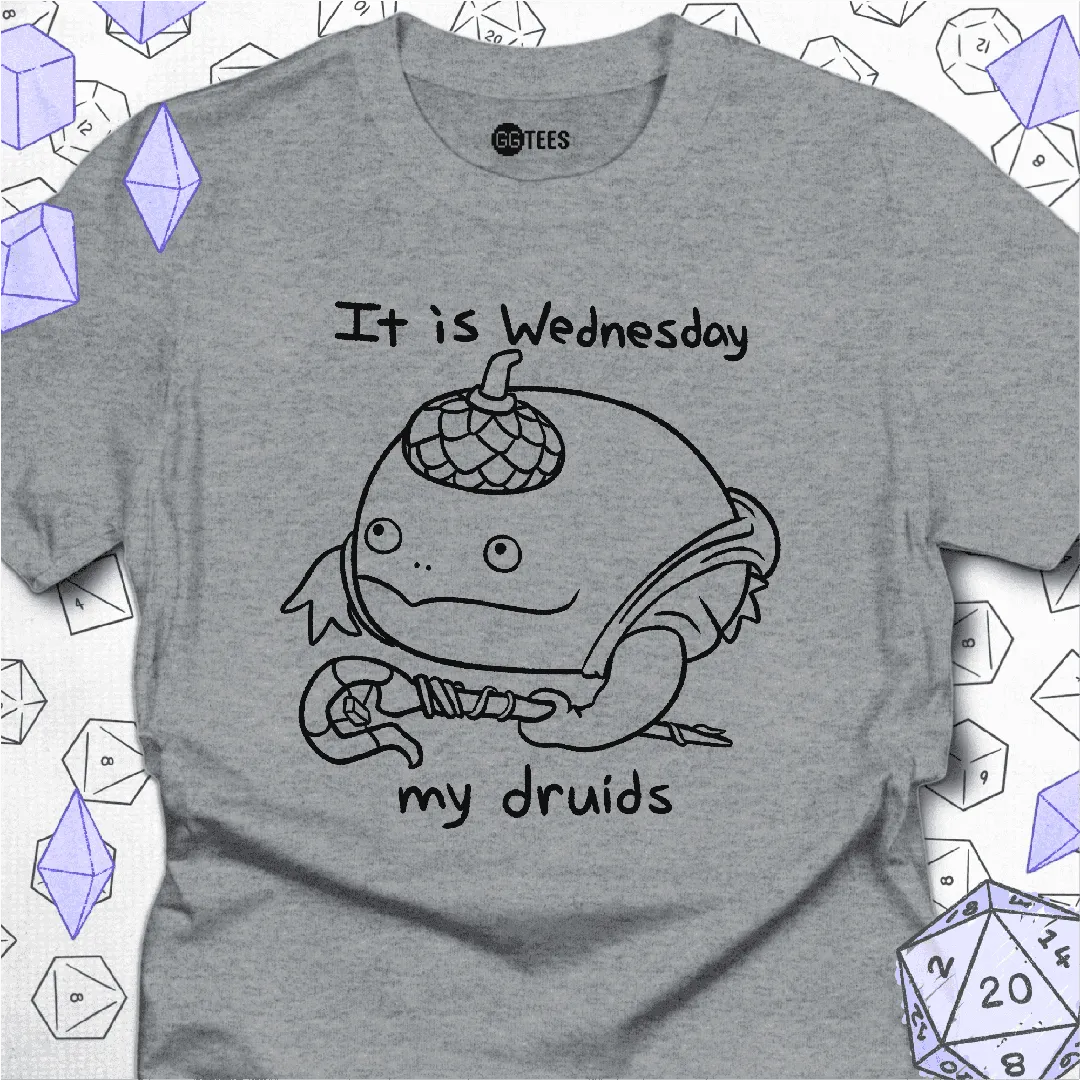 It is Wednesday T-Shirt - GG Tees