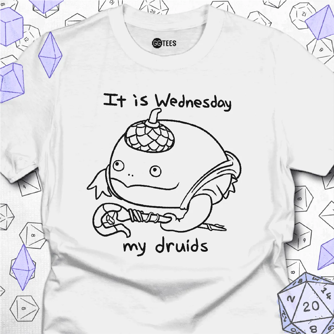 It is Wednesday T-Shirt - GG Tees